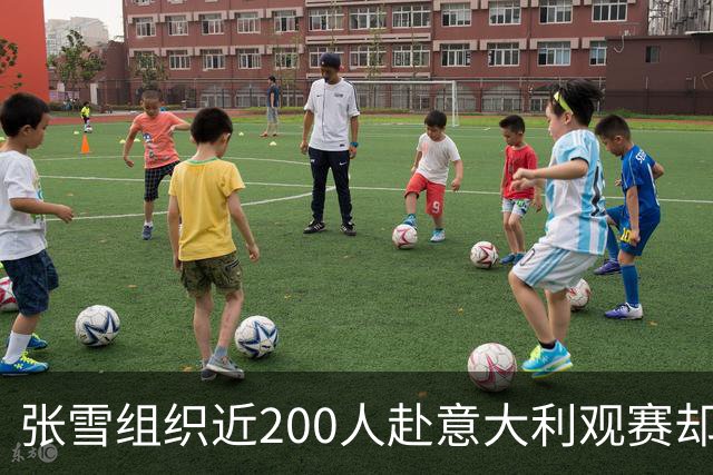 张雪组织近200人赴意大利观赛却遭盗窃，警方无作为引发关注